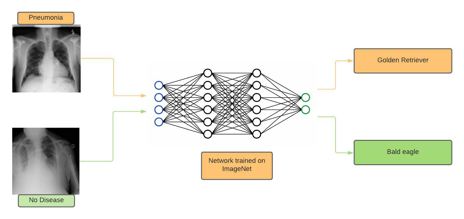 Grouping Xrays by ImageNet