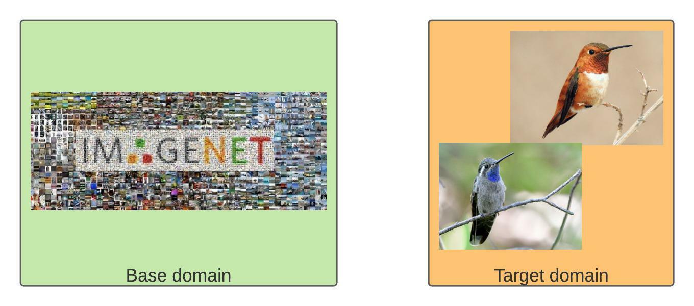 ImageNet base and hummingbird target