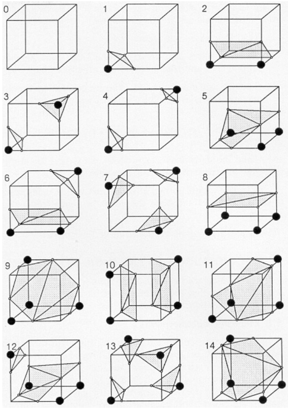 Marching Cubes Triangulation